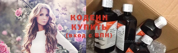 apvp Бородино