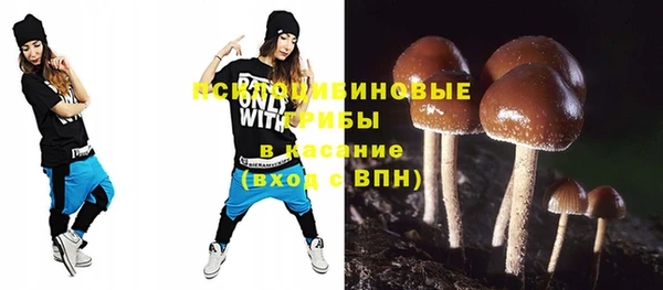 apvp Бородино
