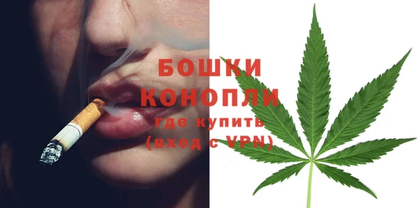 тгк Бронницы