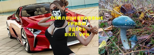 гидропоника Бугульма