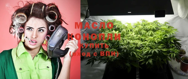 молекула духа Богородск