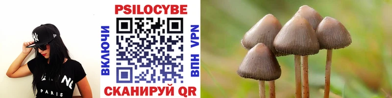 Псилоцибиновые грибы ЛСД  где купить   Баксан 